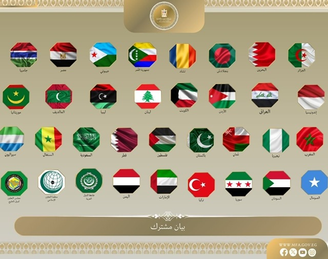بيان مصرى عربى دولى: 