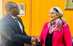 مصر وزيمبابوي تبحثان تعزيز التعاون الإعلامي وتوقيع مذكرة تفاهم لتبادل الخبرات وبناء القدرات