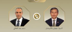 وزيرا خارجية مصر وسنغافورة يؤكدان عمق العلاقات ودعم غزة إنسانيًا وسياسيًا