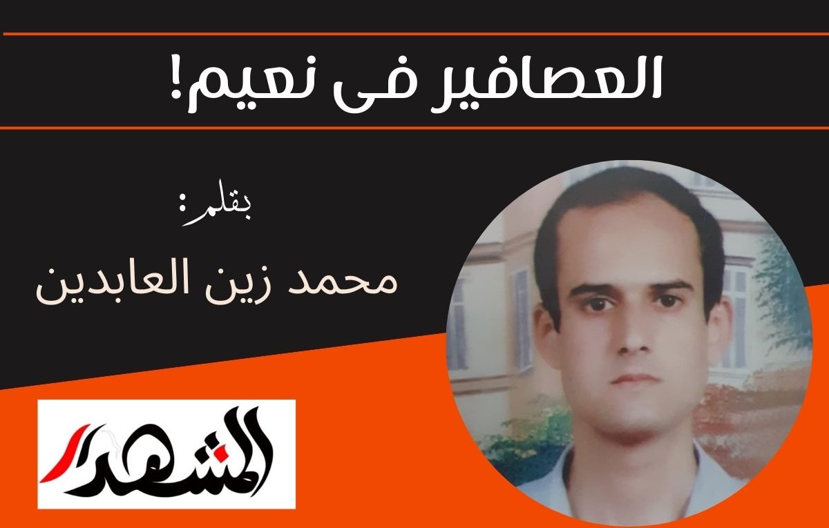 العصافير فى نعيم!

