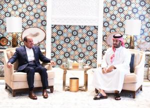 الرئيس السيسي وولي عهد السعودية يشددان على ضرورة الإسراع في إدخال المساعدات إلى قطاع غزة دون عوائق