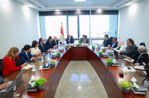 وزير الخارجية يشارك في الاجتماع التأسيسي الأول للجنة التنسيقية لنفاذ الدواء المصري للسوق العالمية