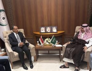 وزيرا خارجية مصر والسعودية يبحثان بجدة تعزيز الشراكة الاستراتيجية ووقف العدوان على غزة