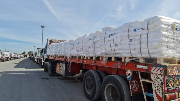 الهلال الأحمر: مصر سيرت 1000 شاحنة بإجمالي 14.5 ألف طن مساعدات في 10 أيام