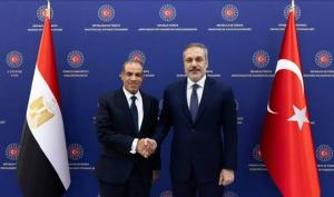 وزير الخارجية يستقبل نظيره التركي بمدينة العلمين الجديدة السبت المقبل
