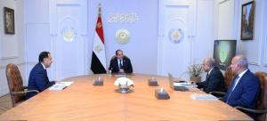 السيسي يوجّه بتعزيز قدرات الشبكة القومية للكهرباء وتوسيع الاعتماد على الطاقة المتجددة