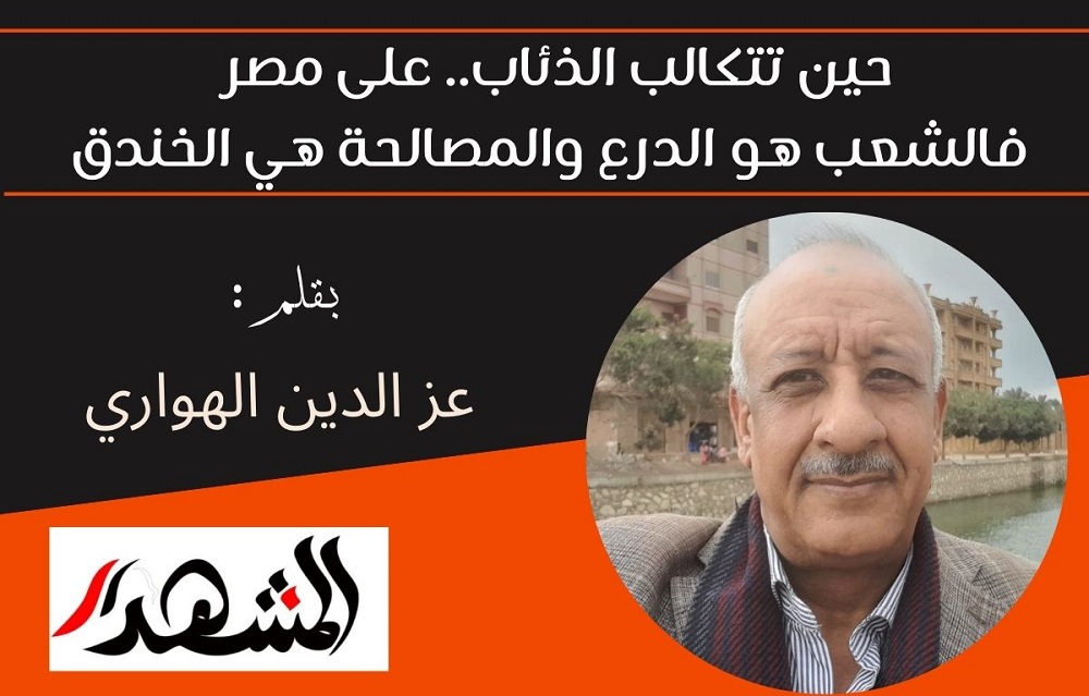 ​حين تتكالب الذئاب.. على مصر فالشعب هو الدرع والمصالحة هي الخندق