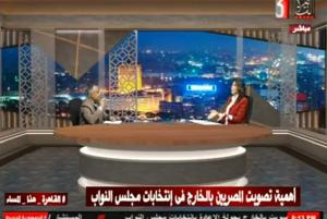 أبورفاعي: ارتفاع تحويلات المصريين بالخارج يؤكد حرصهم على استقرار الدولة 