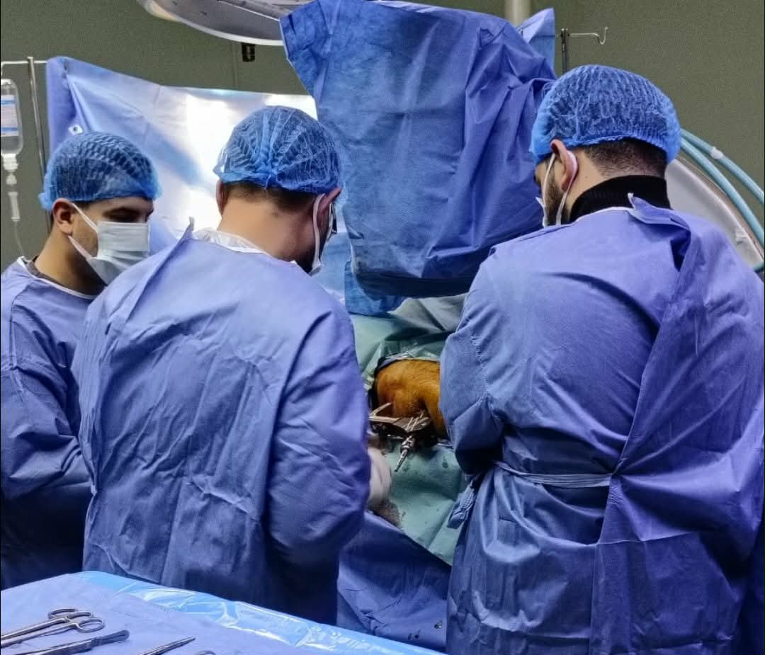 تدخل جراحي عاجل ينقذ مريض فشل كلوي من مضاعفات كسر أعلى الفخذ بمستشفى وادي النطرون التخصصي

