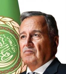 نبيل فهمي يؤكد دعم الجامعة العربية للسعودية في مواجهة الاعتداءات الحوثية ويحذر من خطورة التصعيد