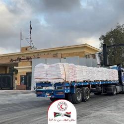 الهلال الأحمر المصري يرسل 90 شاحنة دقيق وسلال غذائية لعودة تشغيل المخابز في غزة
