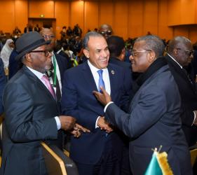 وزير الخارجية يؤكد دعم مصر لتعزيز التعاون والاستقرار خلال لقاءات أفريقية على هامش القمة