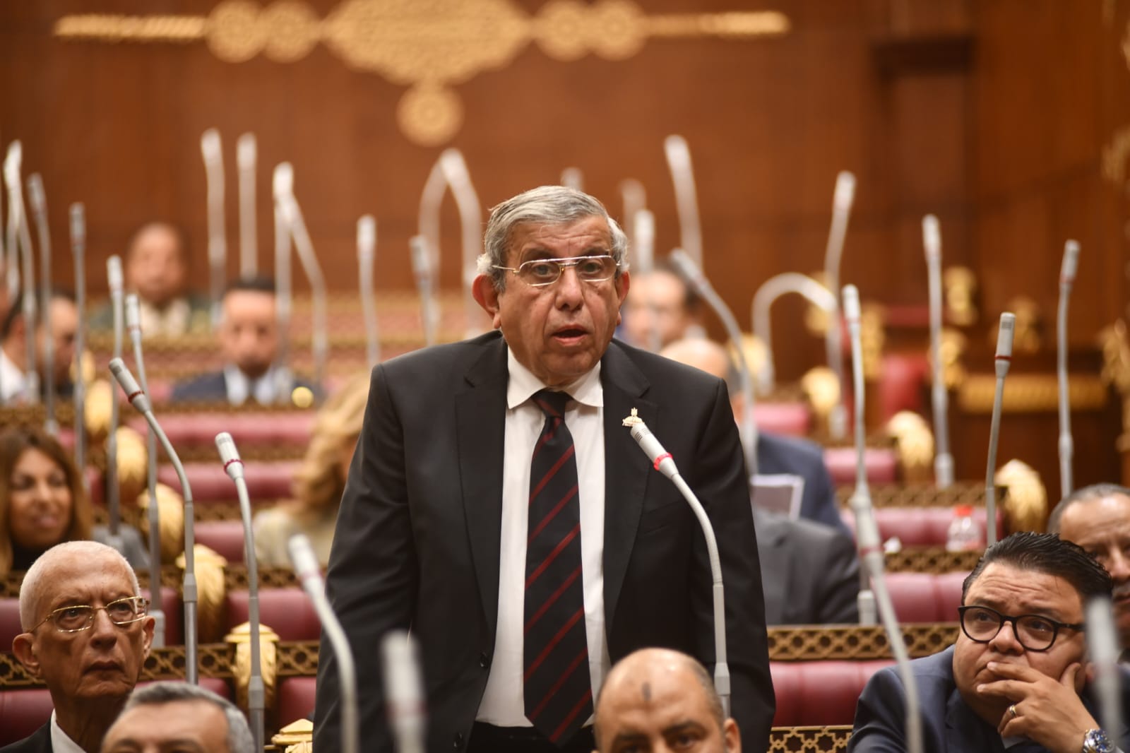 علاء عبد النبي: 