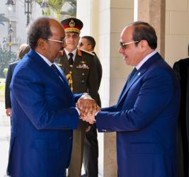 السيسي يلتقي رئيس الصومال لبحث التعاون المشترك والتطورات الإقليمية والدولية