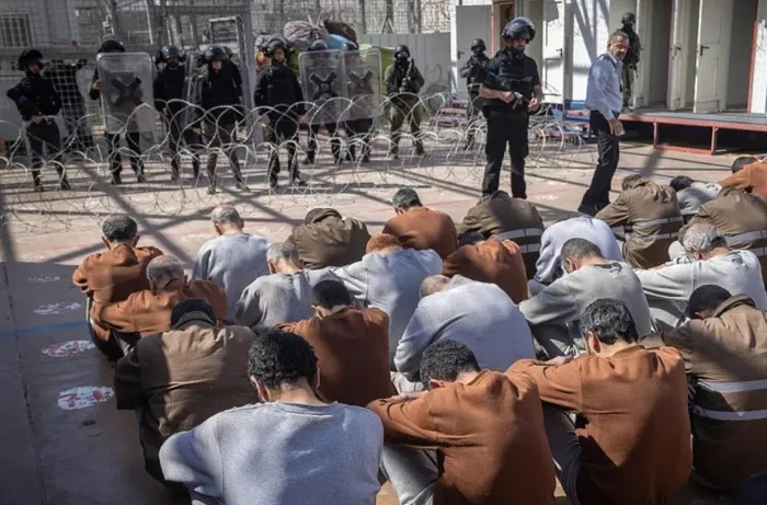 مرصد الأزهر: 