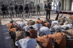 مرصد الأزهر: 