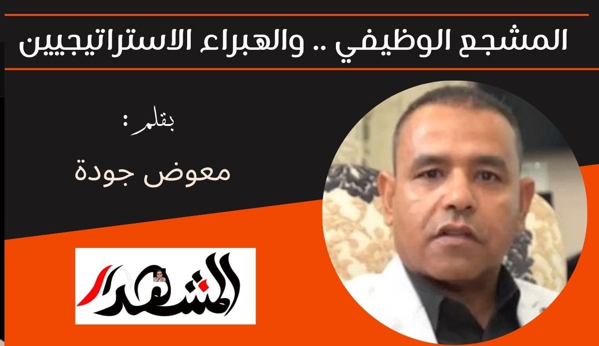 المشجع الوظيفي .. والهبراء الاستراتيجيين 