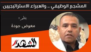 المشجع الوظيفي .. والهبراء الاستراتيجيين 