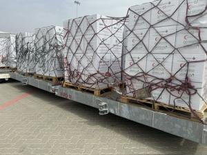 بدعم إماراتي.. جسر جوي لإغاثة غزة بـ100 طن مساعدات غذائية