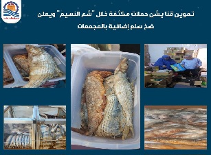تموين قنا: تحرير 21 محضرا متنوعاً وضبط كميات من الأسماك المملحة غير الصالحة

