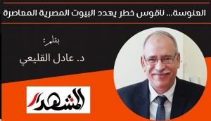 العنوسة... ناقوس خطر يهدد البيوت المصرية المعاصرة  