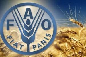 الفاو وإيفاد وبرنامج الأغذية العالمي يعززون التعاون لدعم الأمن الغذائي في مصر