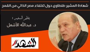 شهادة المشير طنطاوى حول اكتفاء مصر الذاتي من القمح 

