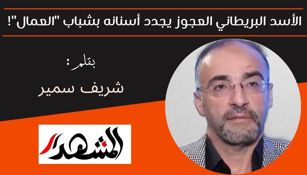 الأسد البريطاني العجوز يجدد أسنانه بشباب 