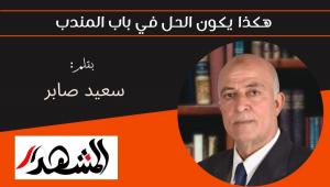 هكذا يكون الحل في باب المندب 