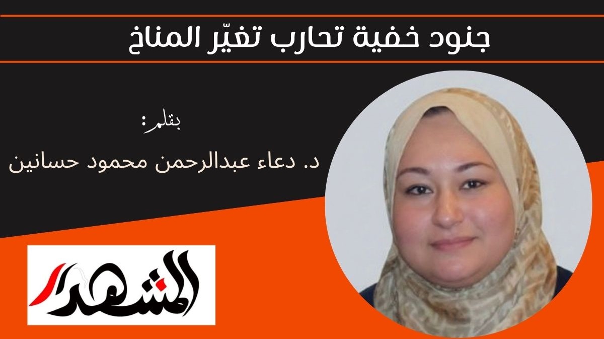 جنود خفية تحارب تغيّر المناخ 