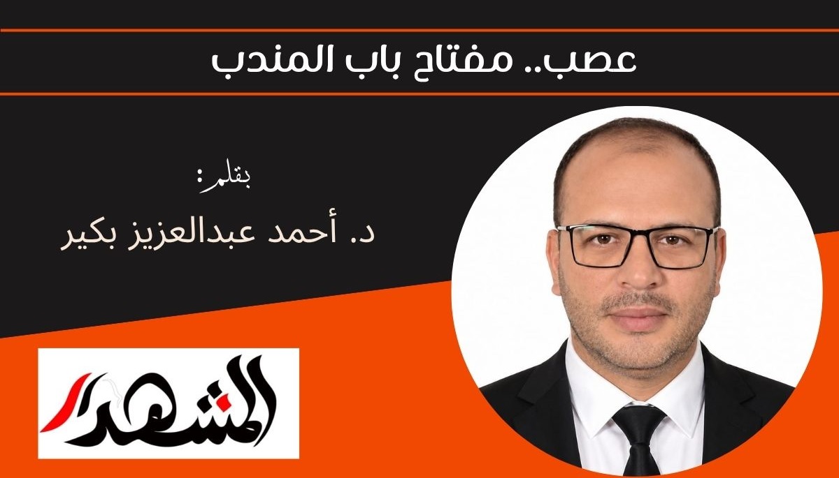 عصب.. مفتاح باب المندب 