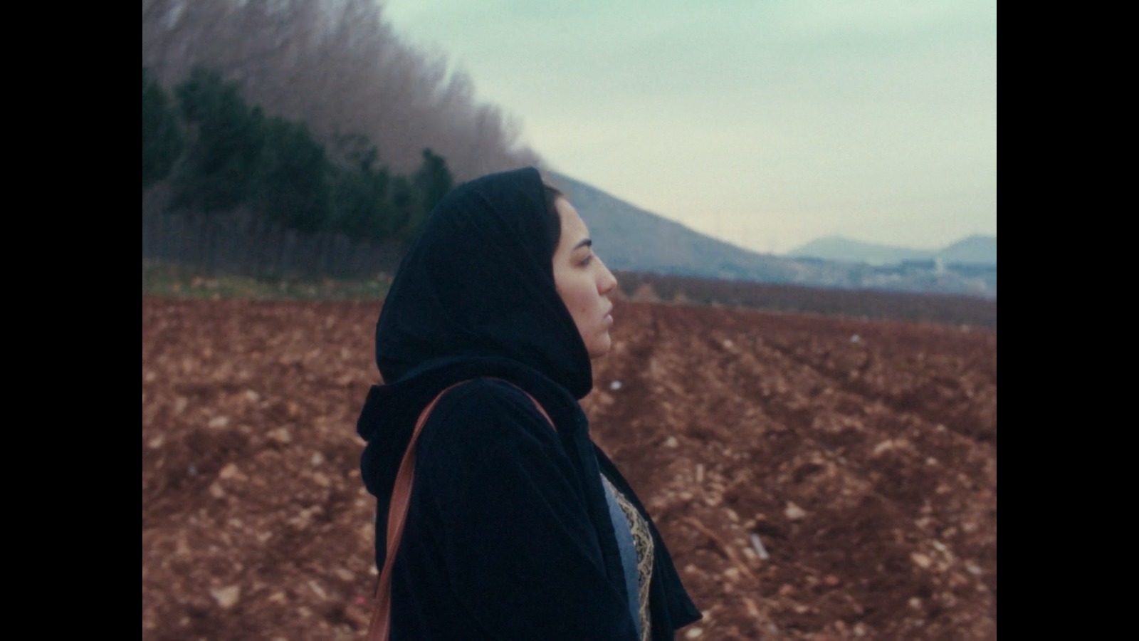 عرض فيلم 