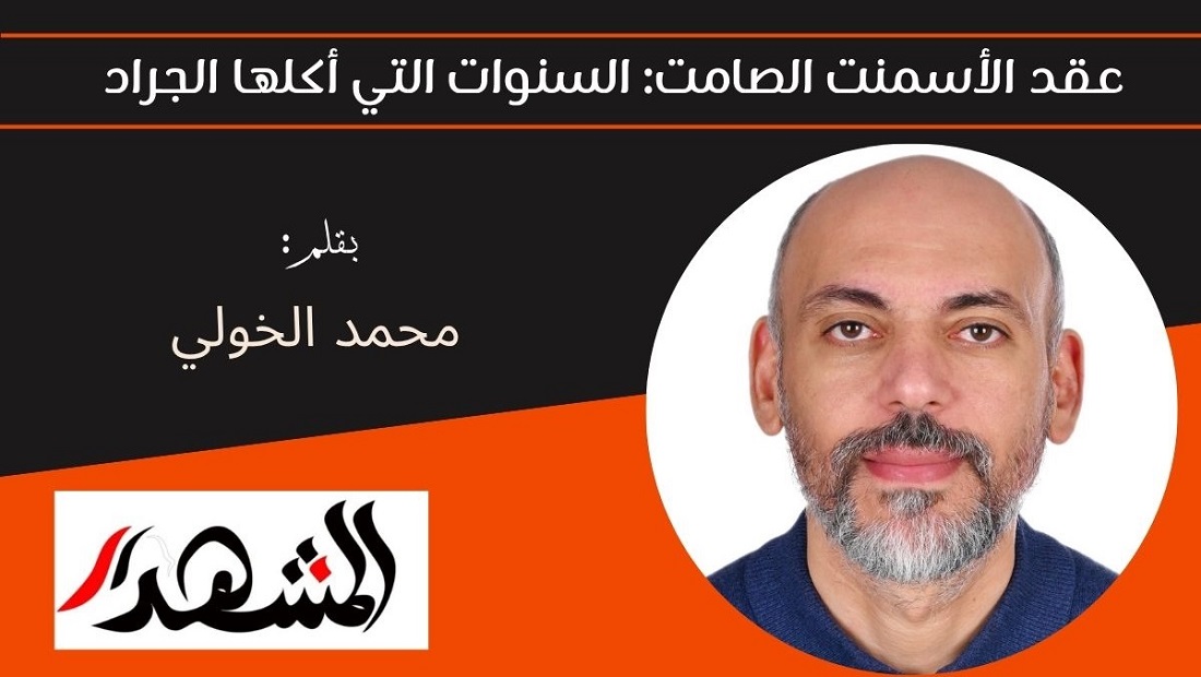 عقد الأسمنت الصامت: السنوات التي أكلها الجراد  