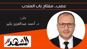 عصب.. مفتاح باب المندب 