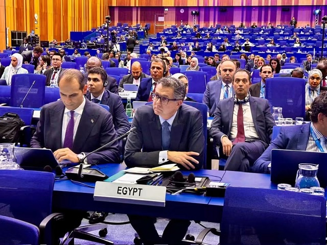 112 صوتا دون معارضة.. كيف حققت مصر انتصارا دبلوماسيا نوويا في فيينا؟