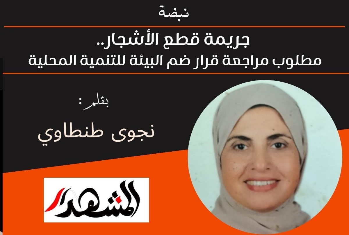 نبضة | جريمة قطع الأشجار.. مطلوب مراجعة قرار ضم البيئة للتنمية المحلية 