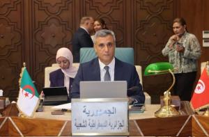 سفير الجزائر يستعرض نجاحات بلاده في الاستحقاقات الانتخابية بالجامعة العربية