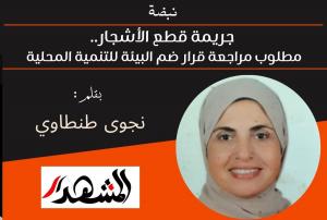 نبضة | جريمة قطع الأشجار.. مطلوب مراجعة قرار ضم البيئة للتنمية المحلية 
